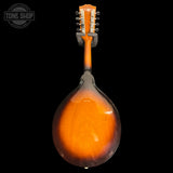 Back of Vintage 1964 Gibson A40 Mandolin.
