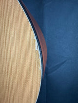 Wear/damage for Used Breedlove Passport C250.