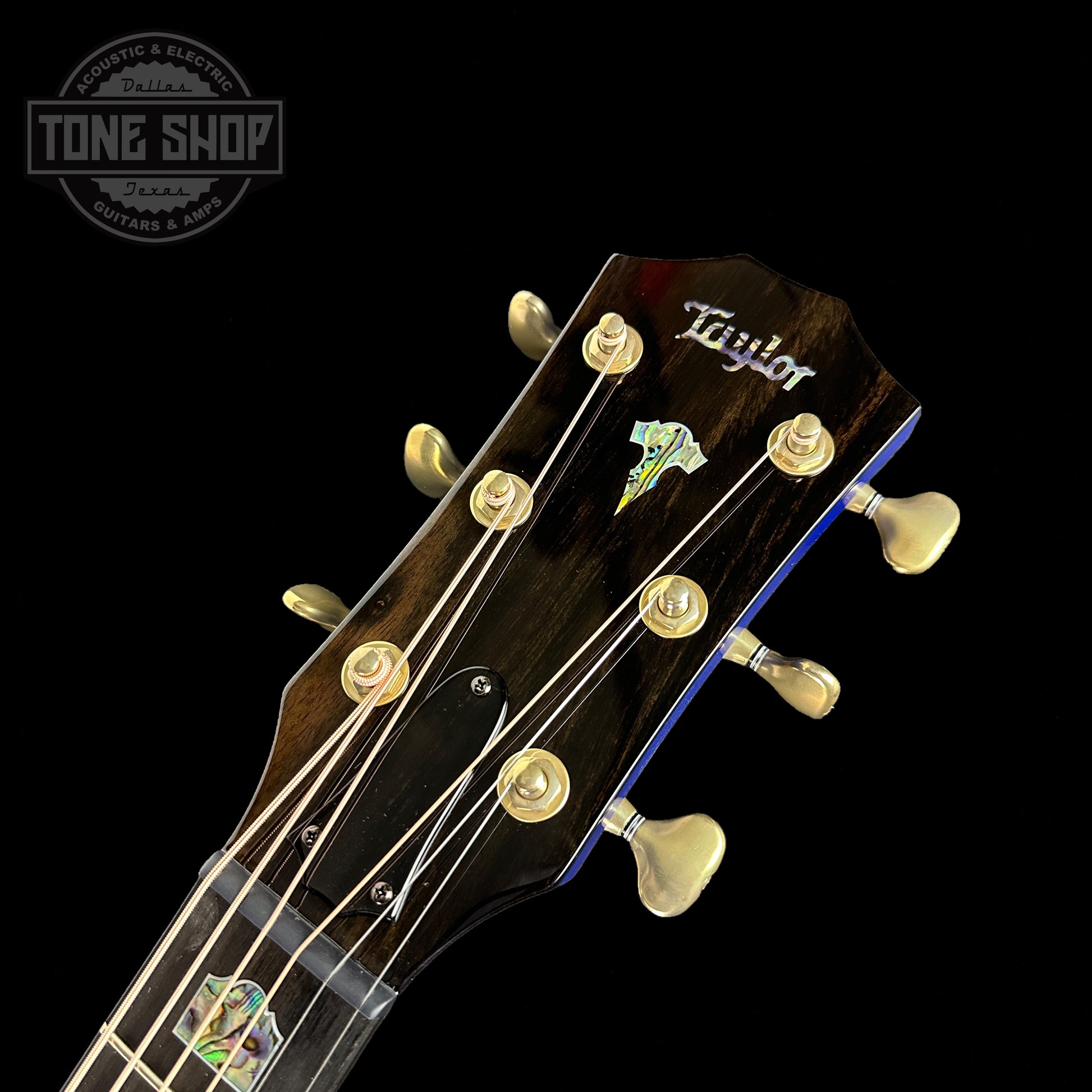 Front of headstock of Taylor Custom #3: C18e Grand Orchestra Lutz Spruce/Quilted Maple Royal Blue.