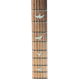 Guitar fretboard with bird inlay markers on a white background