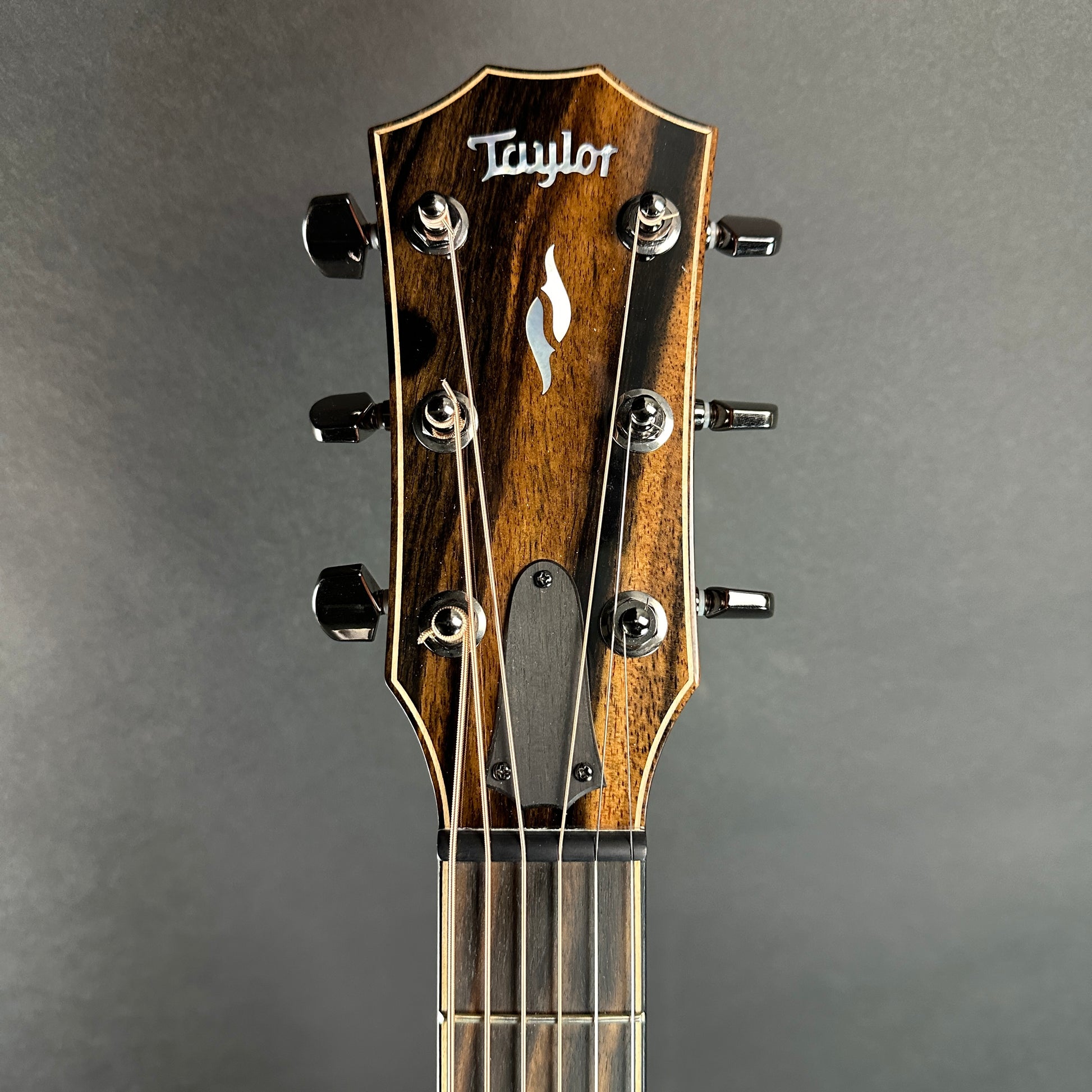 Front of headstock of Used 2022 Taylor 814ce V-Class.