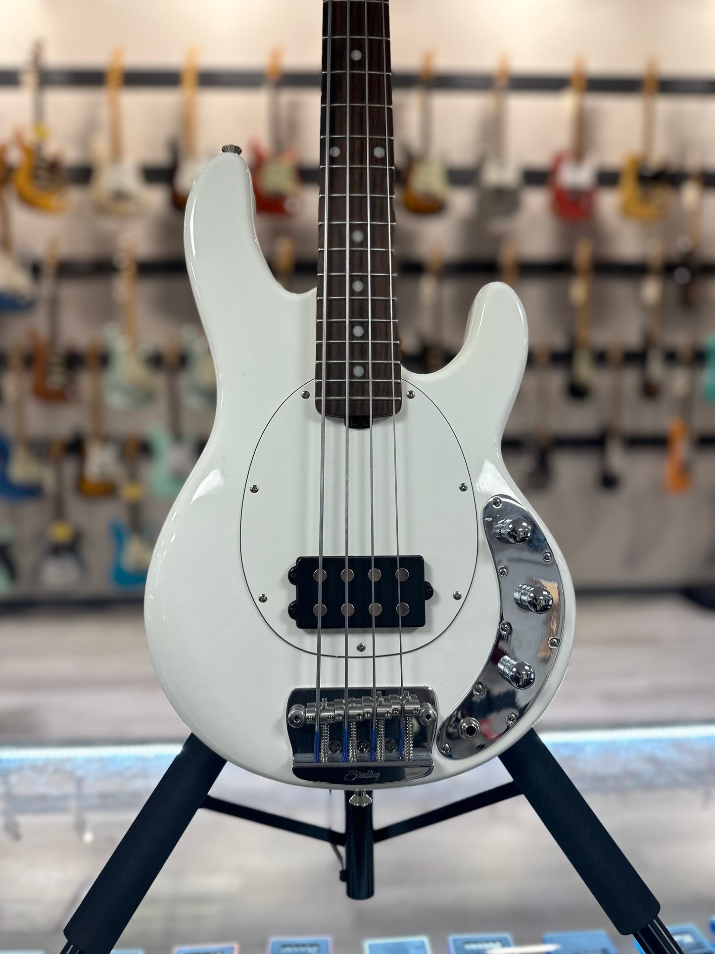 Front of Used Sterling By MusicMan StingRay Short Scale Bass TSS4036