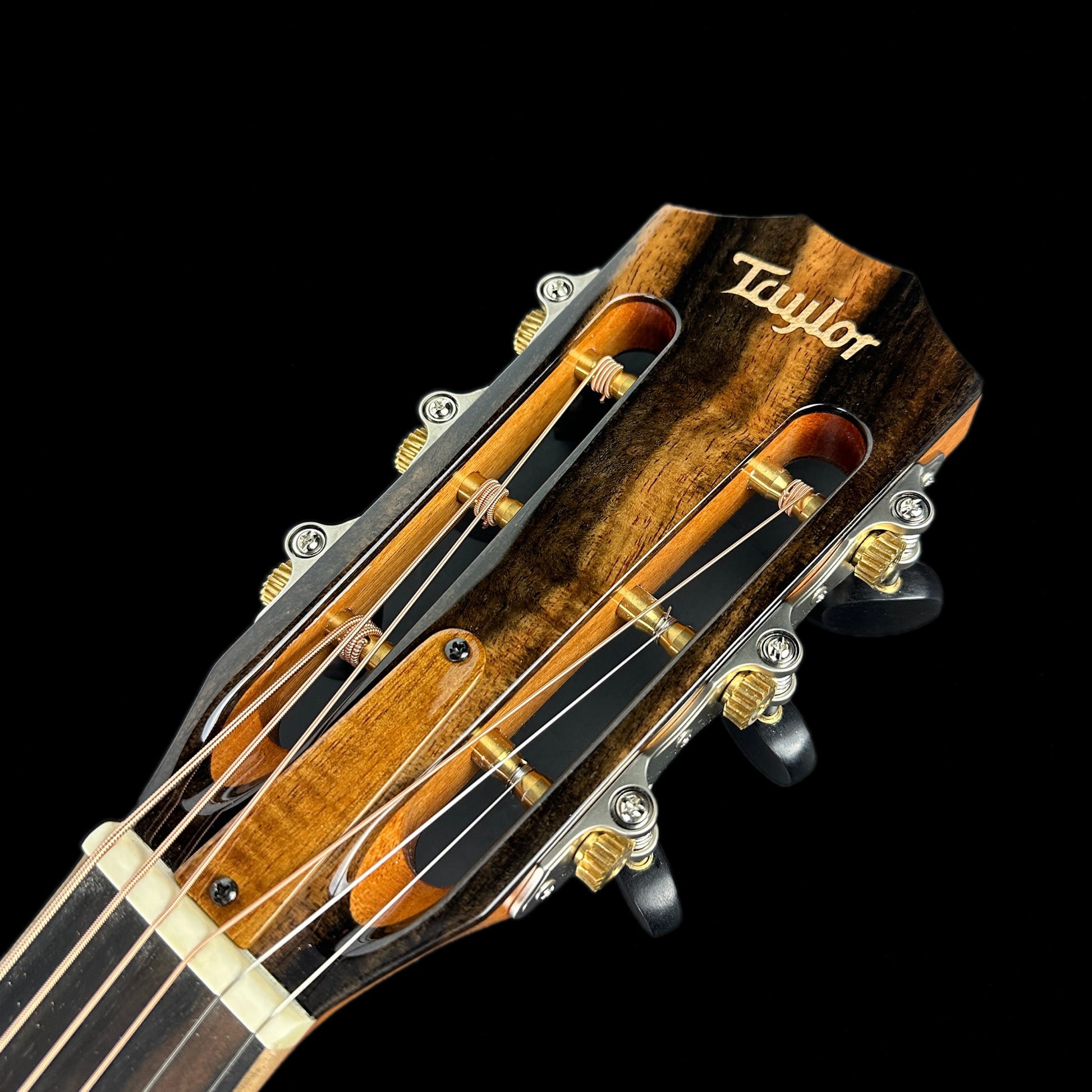 Front of headstock of Taylor Custom Grand Pacific Highly Figured Koa Tropical Vine #12503.
