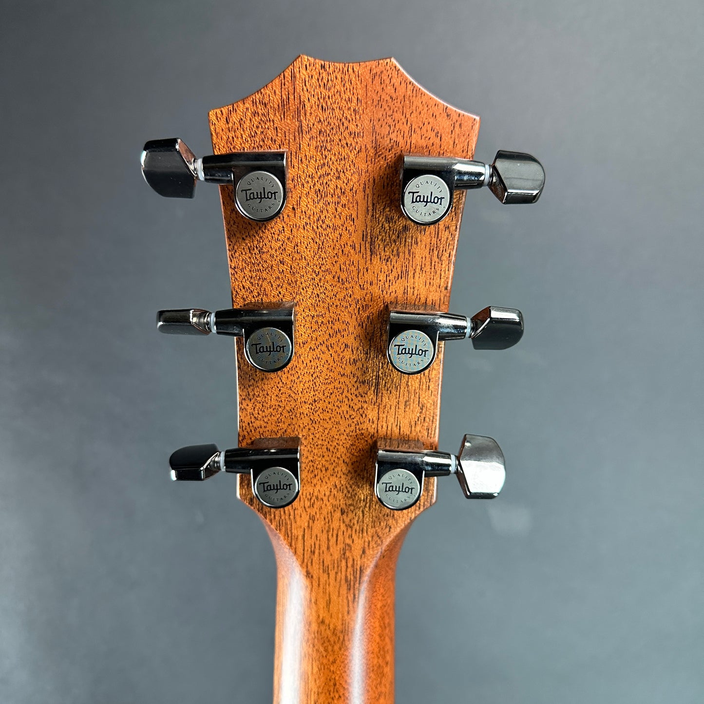 Back of headstock of Used 2022 Taylor 814ce V-Class.