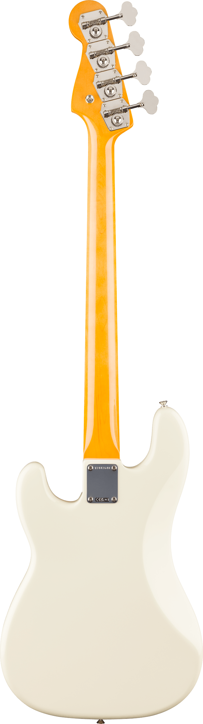 Back of Fender American Vintage II 1960 Precision Bass RW Olympic White.