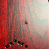 Close-up of a glossy reddish-brown wood surface with visible grain, a small metallic insect-shaped object near the center, and several dark circular holes along the bottom edge.