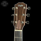 Headstock of Taylor 810 Prototype Throwback.