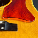 Close-up of an acoustic guitar body showing the glossy reddish-brown pickguard over a natural wood finish, with part of the dark bridge and strings visible.