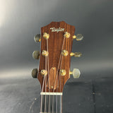 Taylor guitar headstock on a gray background