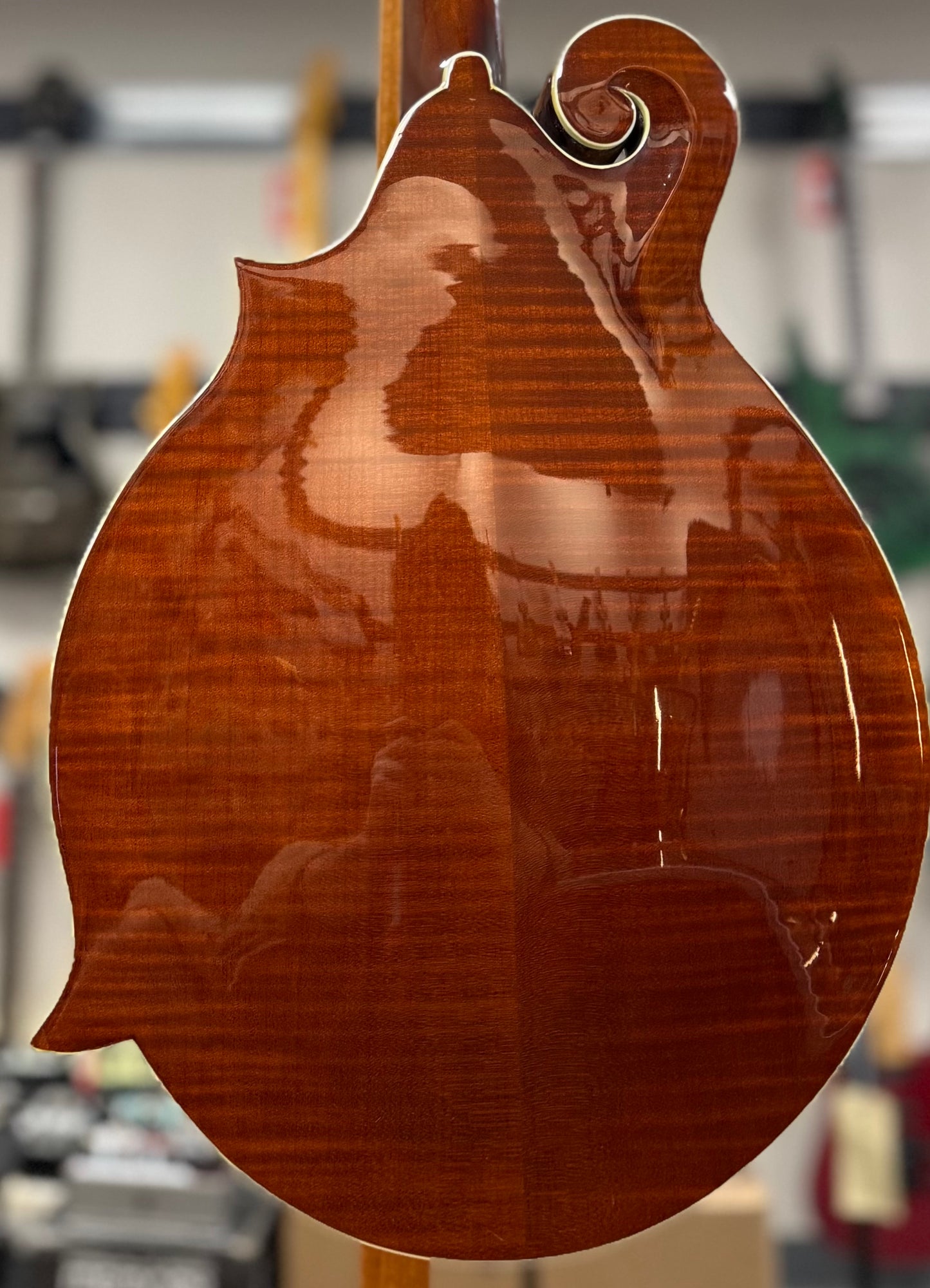 Back of body of Used Michael Kelly LD-F Dragonfly Custom II Limited Edition w/case TSS6408