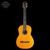 Full front of Martin Custom Shop N-20 Nylon Sitka/East Indian Rosewood.