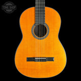 Front of Martin Custom Shop N-20 Nylon Sitka/East Indian Rosewood.