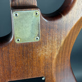 Close-up of a wooden guitar neck with a metal plate and screws.
