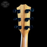 Back of headstock of Taylor Prototype Sunset Boulevard 214ce Walnut / Sitka Eclipse Burst.
