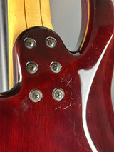 Close-up of a guitar neck with visible screws and wood grain.