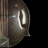 Close-up of a Gibson hollow-body electric guitar body featuring a glittering dark brown finish, a cutout f-hole, strings, and a visible Gibson logo badge against a black background.