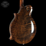 Close-up of a guitar's back plate with 'Tone Shop' logo.