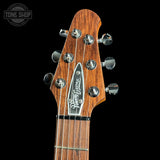 Guitar headstock with brand logo on a black background