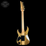 Full back of Ibanez IV2RG RG Visions.