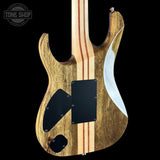 Back angle of Ibanez IV2RG RG Visions.