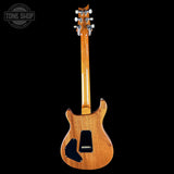 Full back of Used PRS TSG Anniversary Wood Library Artist DGT Gold Storm Fade/Braz RW.
