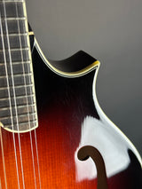 Close-up of a mandolin with a blurred background