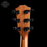 Close-up of a guitar headstock with Taylor tuning pegs on a black background, featuring the Tone Shop logo.