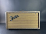 Front of Vintage Fender Reverb Tank Brown.