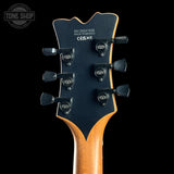 Guitar headstock with brand logo on a black background