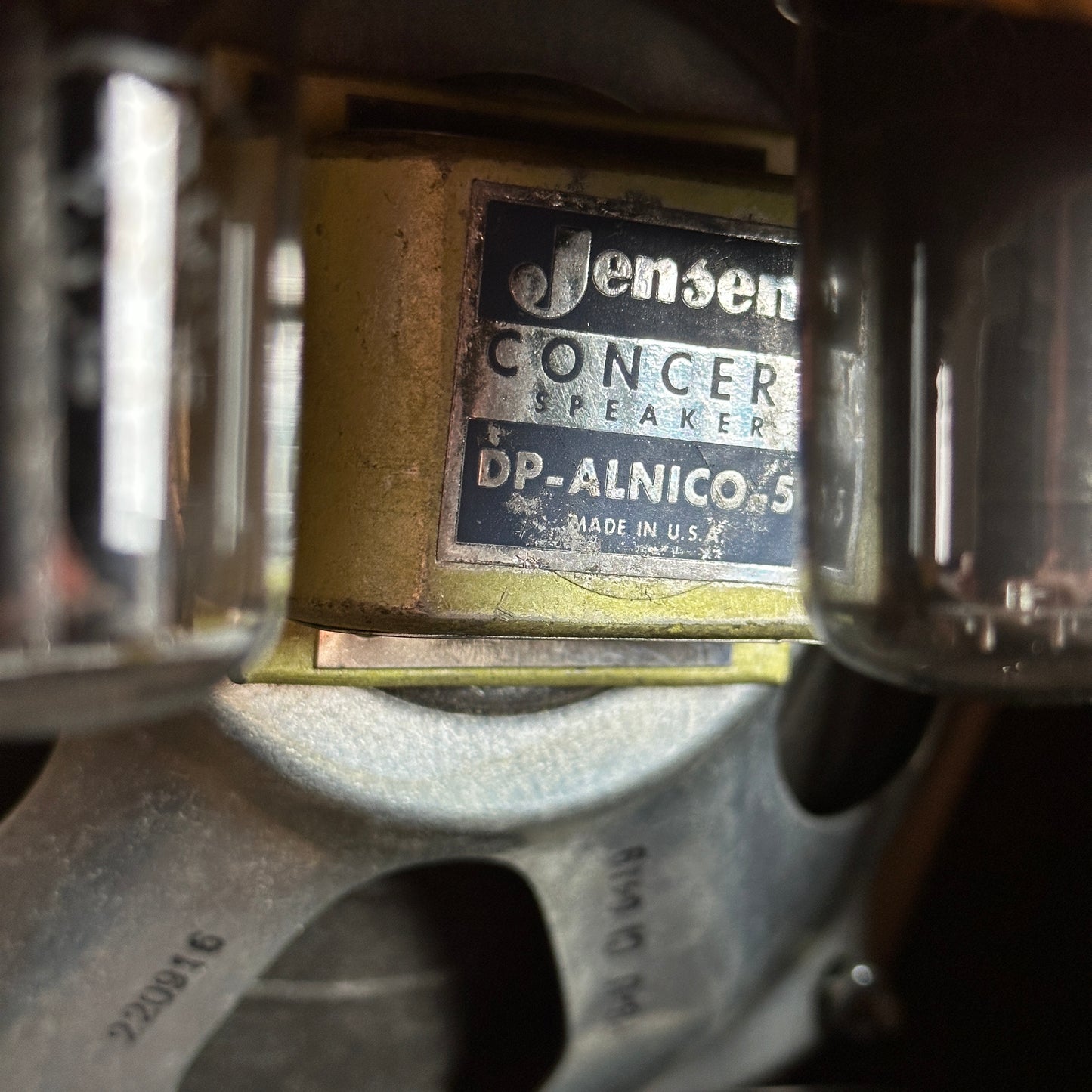 Speaker inside of Vintage 1962 Fender Champ 5f1.