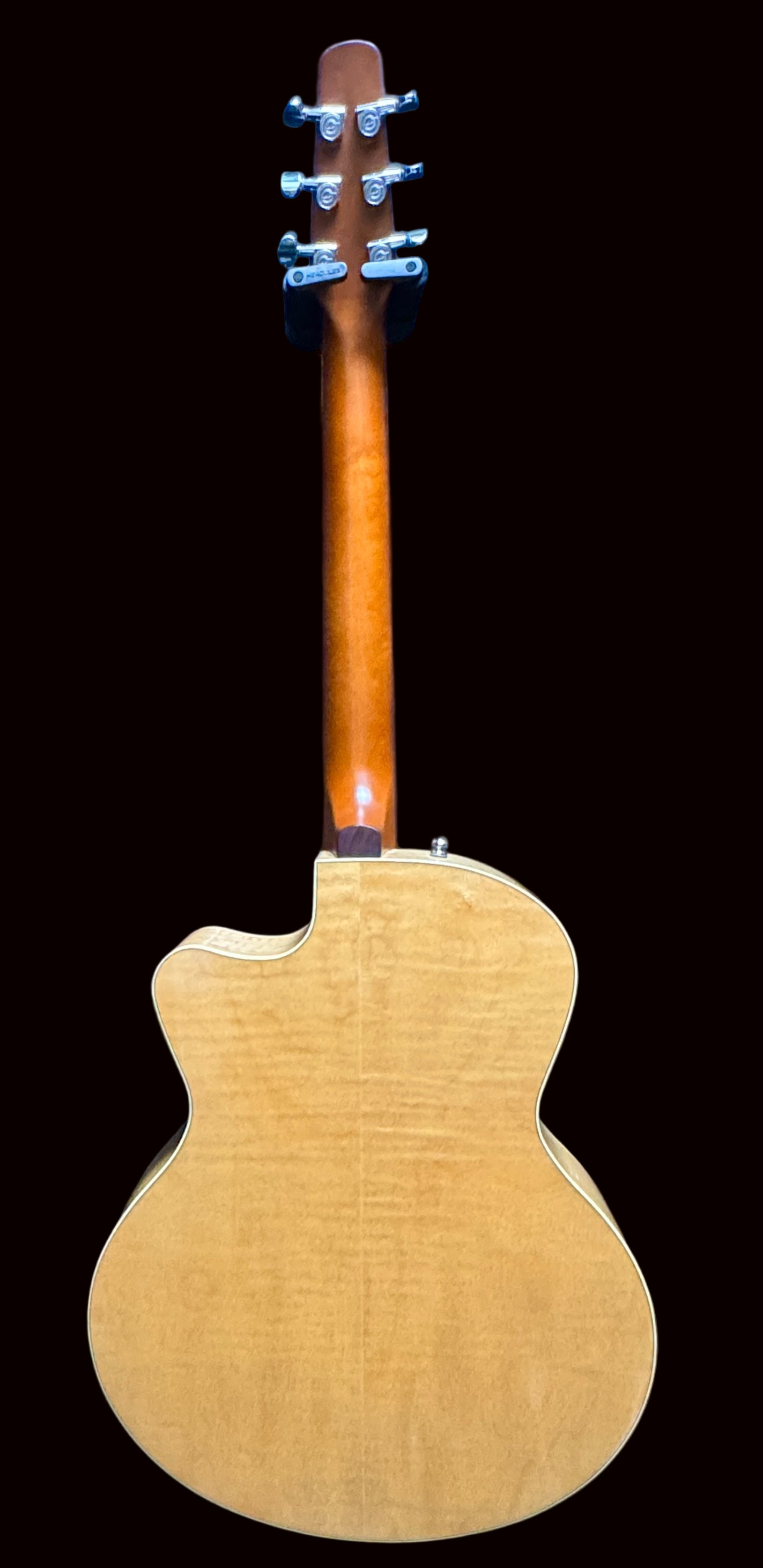 Back view of a guitar with a blue background