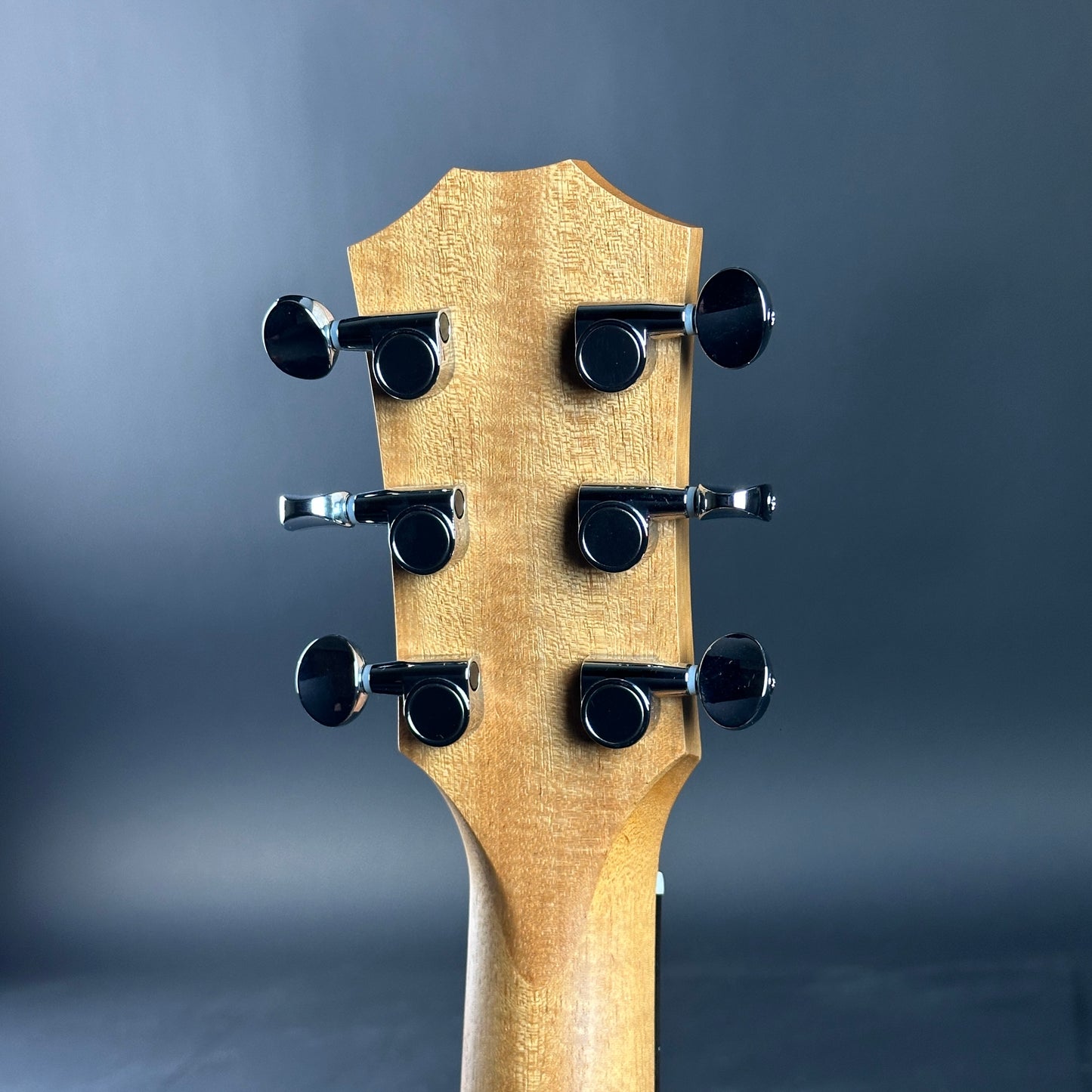 Back of headstock of Taylor GS Mini-e Prototype Year of the Snake 4441.