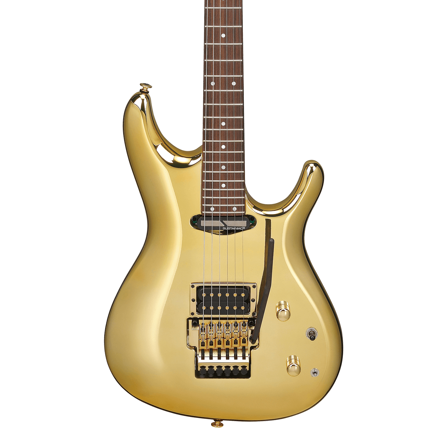 IbanezJS1GDJoeSatrianiSig.png?
