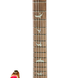 Close-up of a guitar neck with inlaid bird designs on a white background