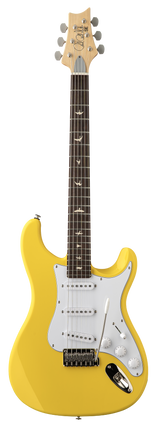 Full frontal of PRS SE Silver Sky Dandy Lion.