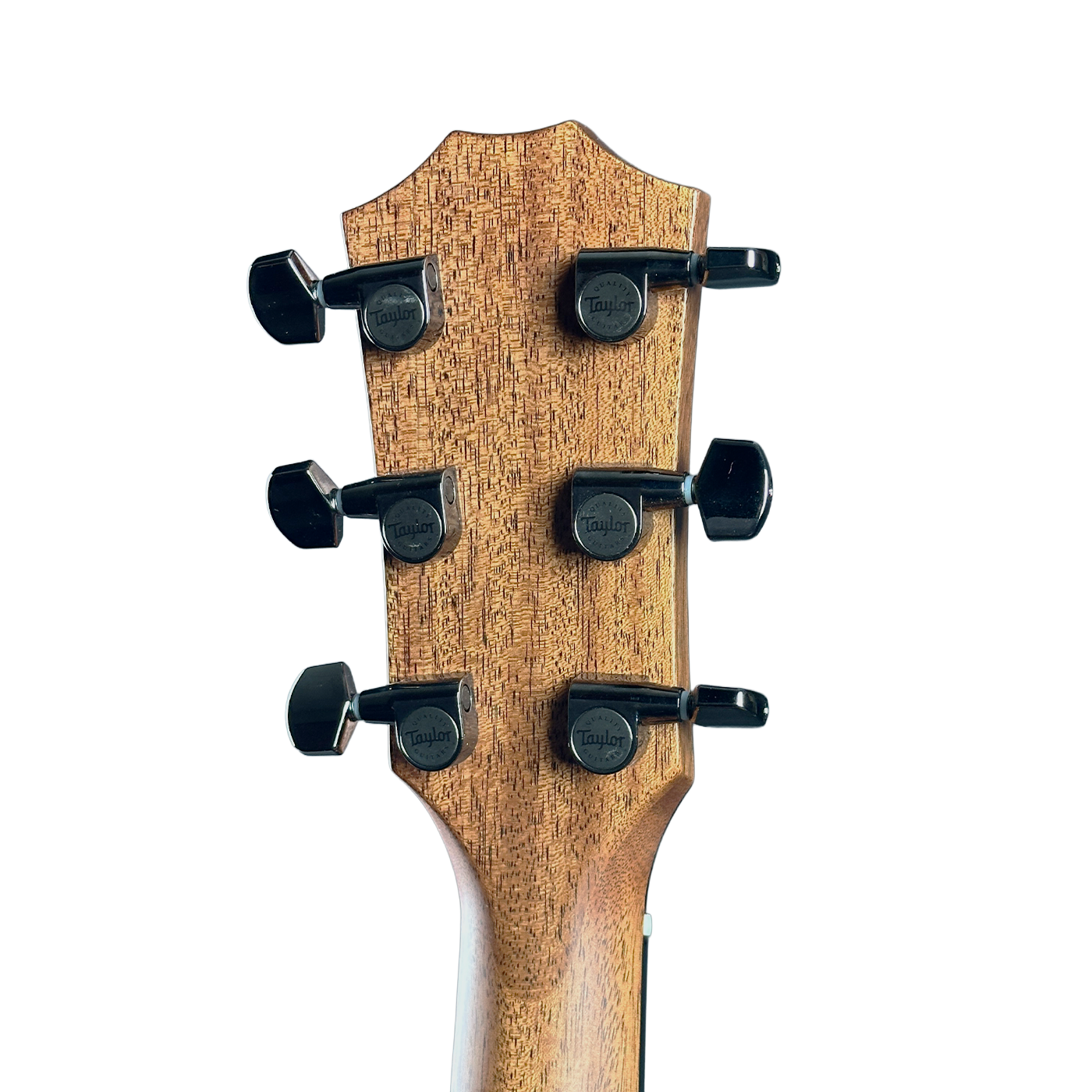 Taylor Custom TSG Anniversary Dread Adirondack / East Indian Rosewood Standard Depth w/case