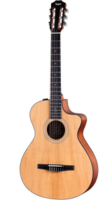 Full frontal of Taylor 112ce-N.