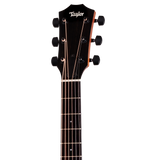Headstock of Taylor 214ce DLX Special Edition Blacktop.