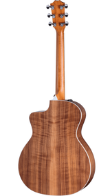 Back of Taylor 214ce.