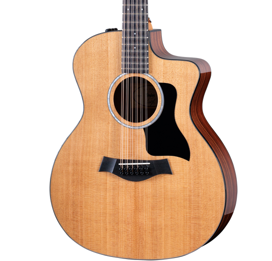 Front of Taylor 254ce Plus.