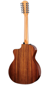 Back of Taylor 254ce Plus.