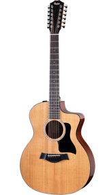 Full frontal of Taylor 254ce Plus.