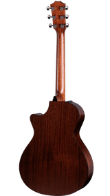 Back of Taylor 312ce.