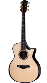 Full frontal of Taylor Builder's Edition 914ce Next Generation.