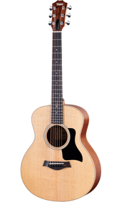 Full frontal of Taylor GS Mini Sapele.