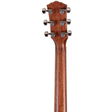 Back of headstock of Taylor Gold Label 514e Sunburst Cream PickguardTaylor Gold Label 514e Sunburst Cream Pickguard.