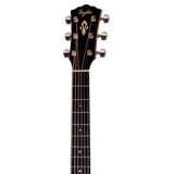 Headstock of Taylor Gold Label 514e Sunburst Cream Pickguard.