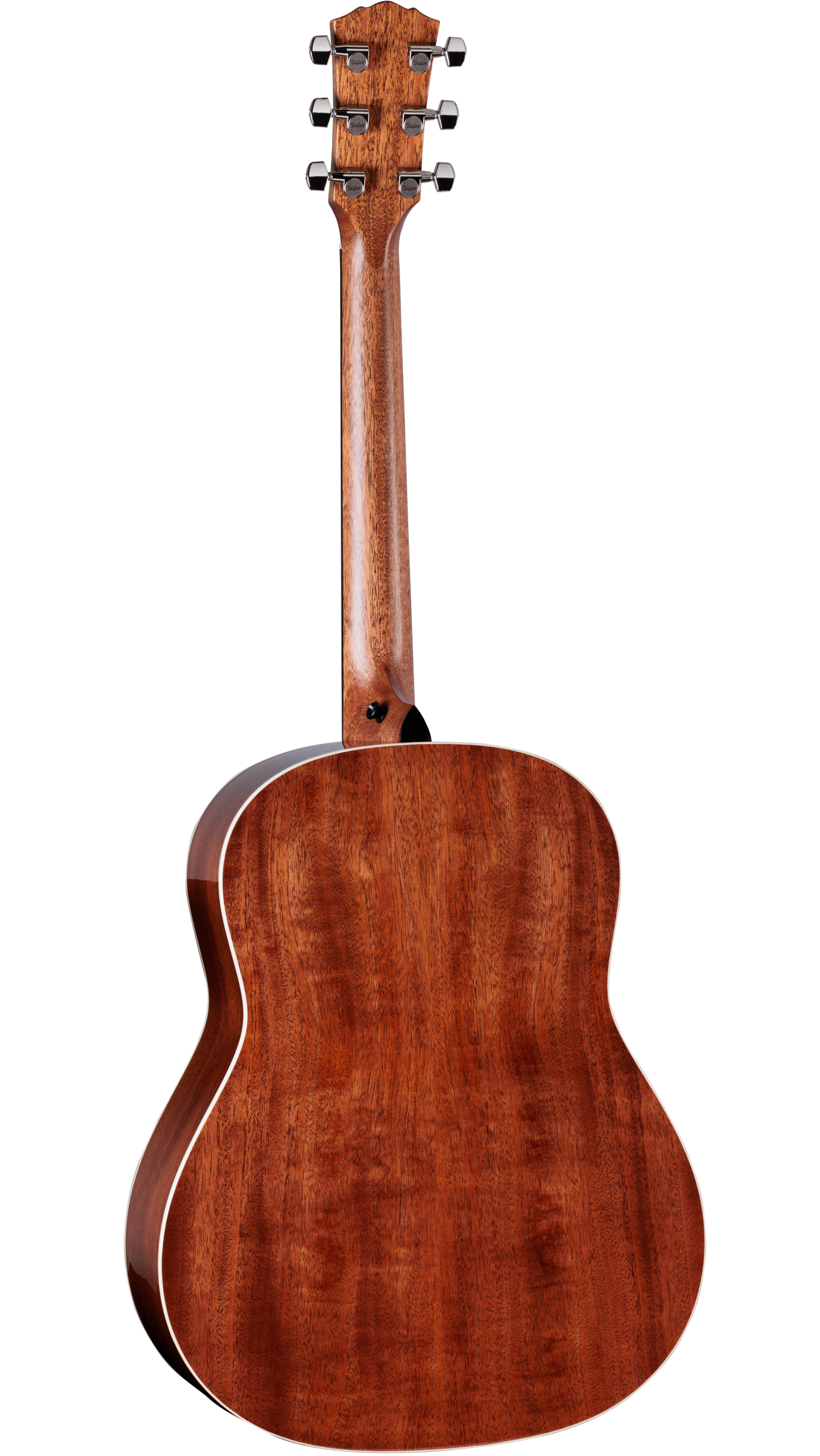 Back of Taylor Gold Label 517e Mahogany / Torrified Sitka Spruce Natural.