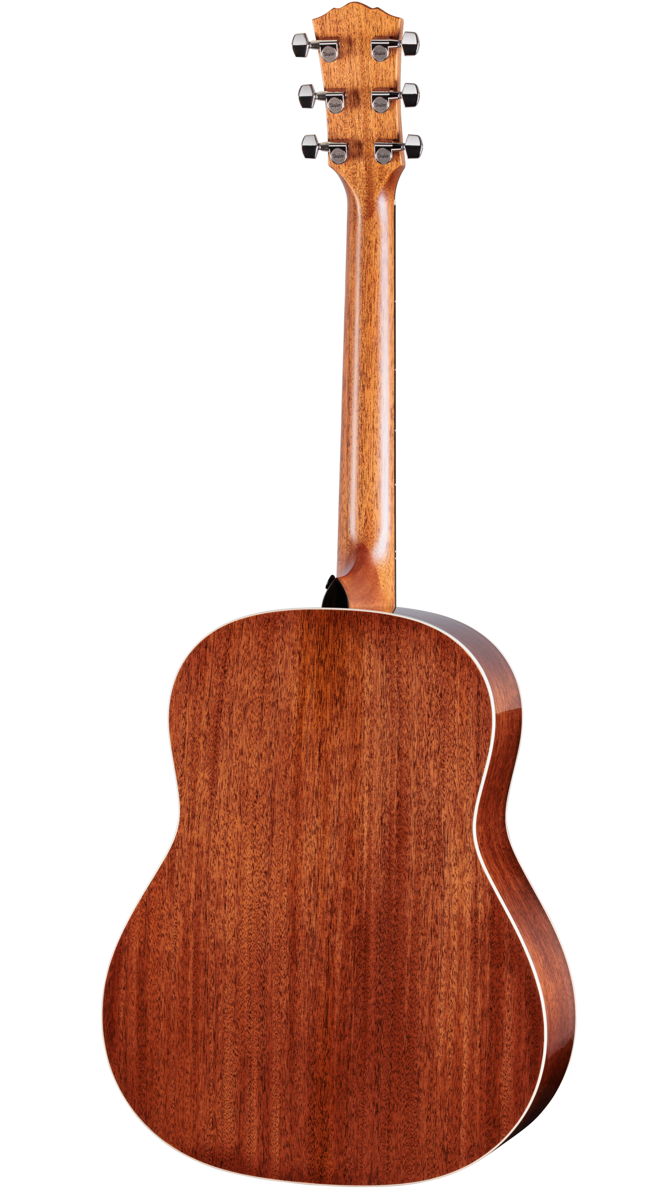 Back of Taylor Gold Label 517e Mahogany / Torrified Sitka Spruce SB Cream Guard.