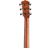 Back of headstock of Taylor Gold Label 714e Sunburst Firestripe Pickguard.